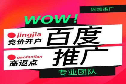 成功案例：一家企业如何通过百度关键词推广实现业绩翻倍
